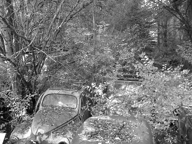 Autofriedhof - 165.JPG - Historischer Autofriedhof,    Gürbetal (CH)